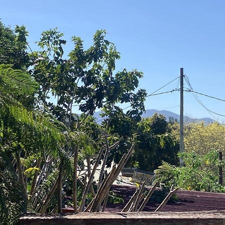 Potters Warehouse Διαμέρισμα Bellingen Εξωτερικό φωτογραφία